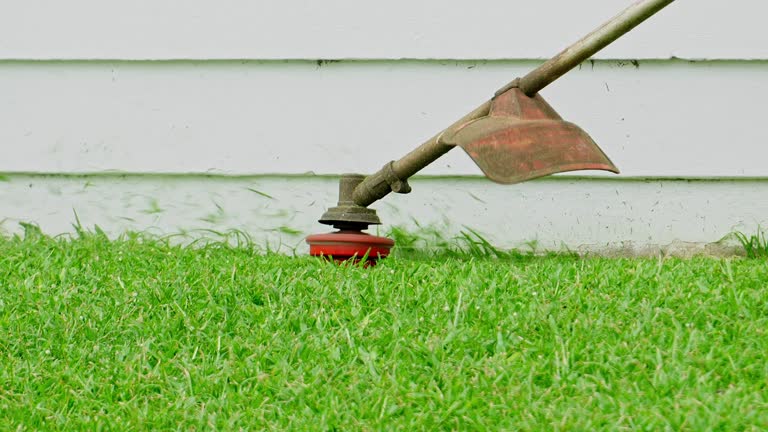 Lawn Drainage Solutions in Frankfort, KY